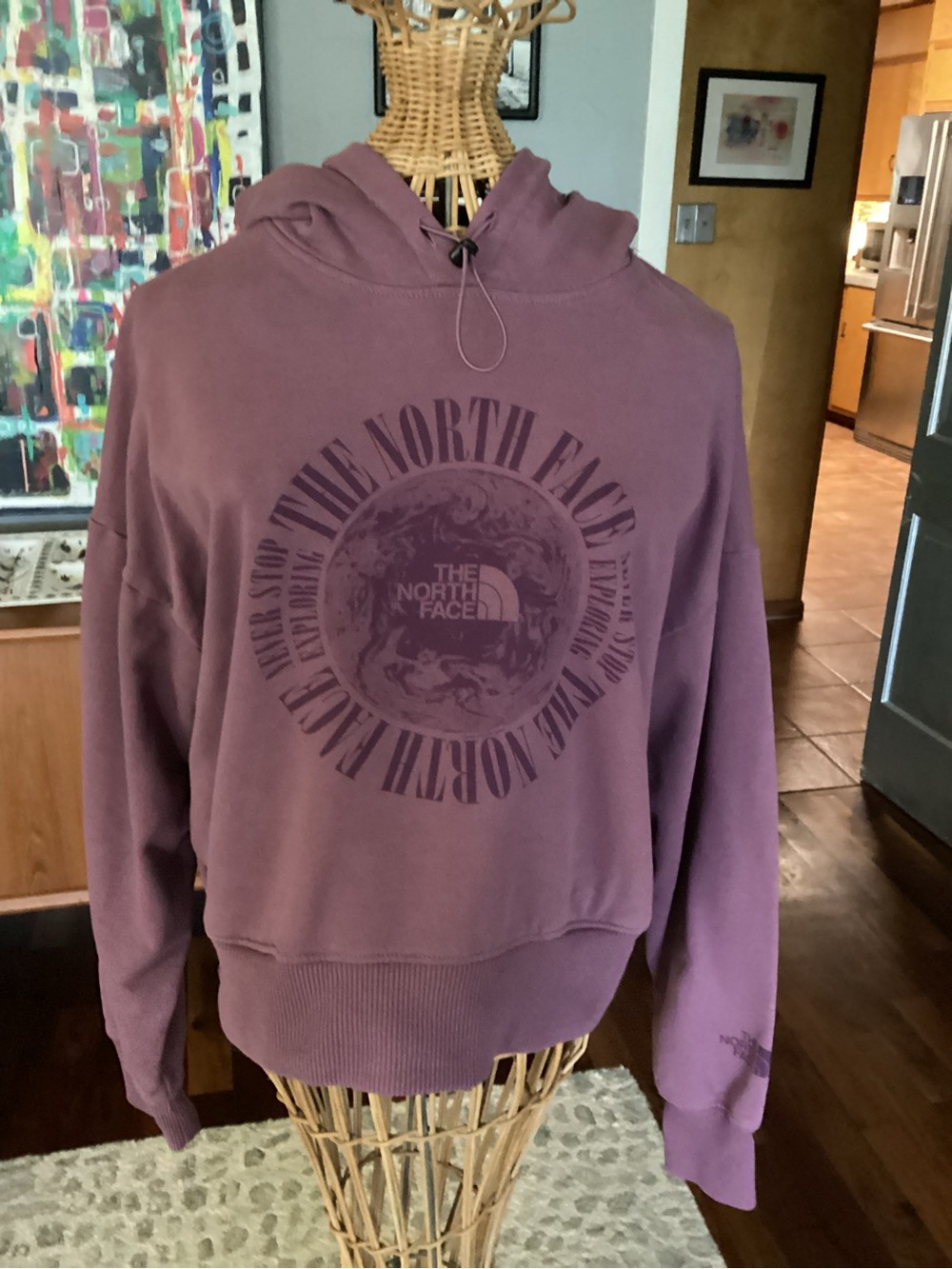 The North Face Plum Cropped Crewneck Hoodie with Logo Circle